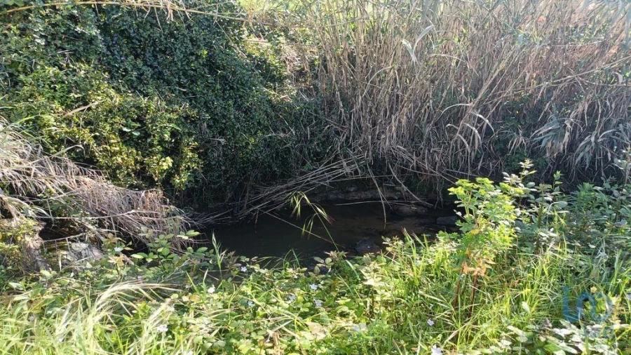 Terreno para Venda em Cela Foto 8