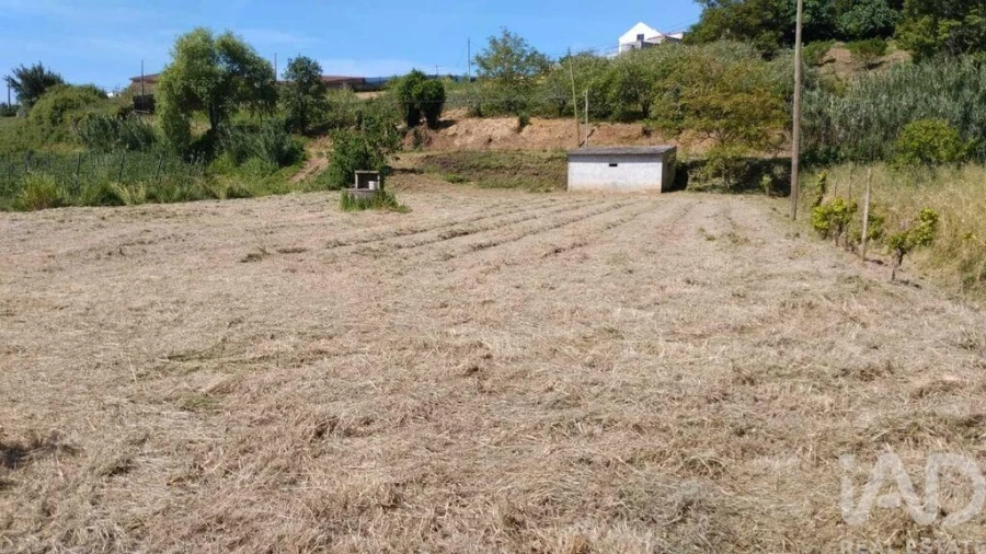 Terreno para Venda em Cela Foto 16