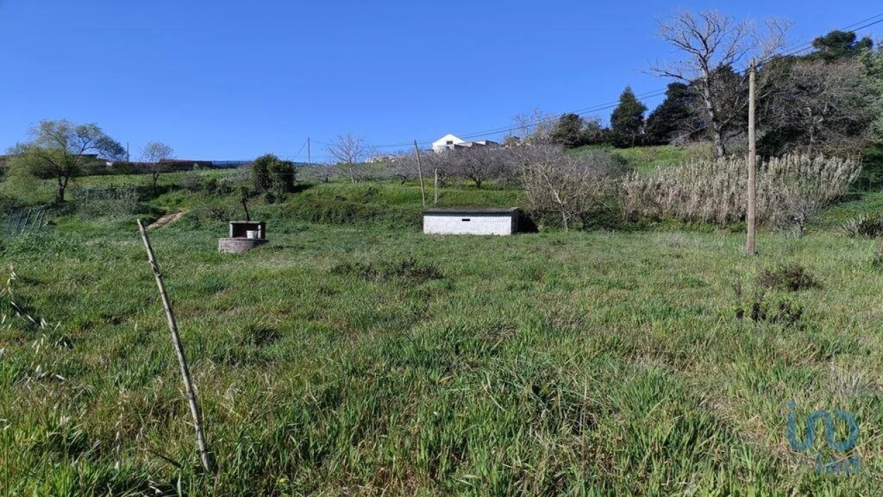 Terreno para Venda em Cela Foto 14