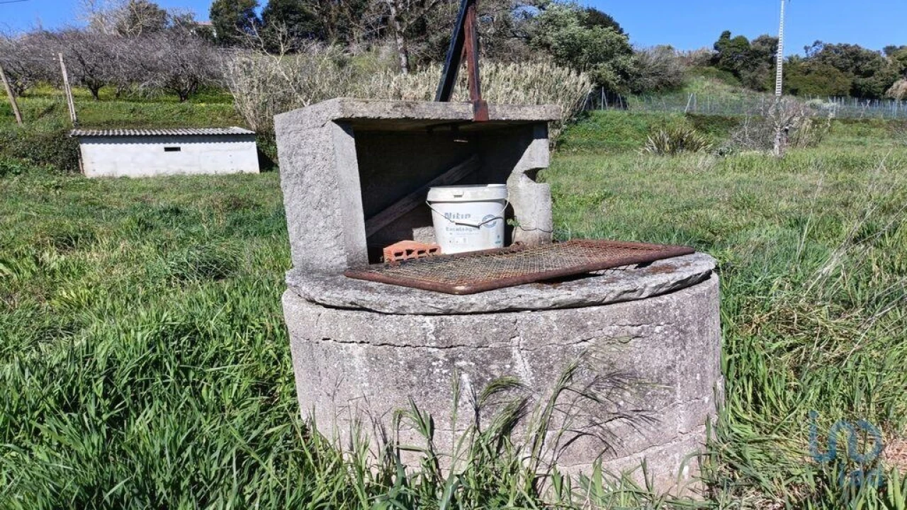 Terreno para Venda em Cela Foto 5