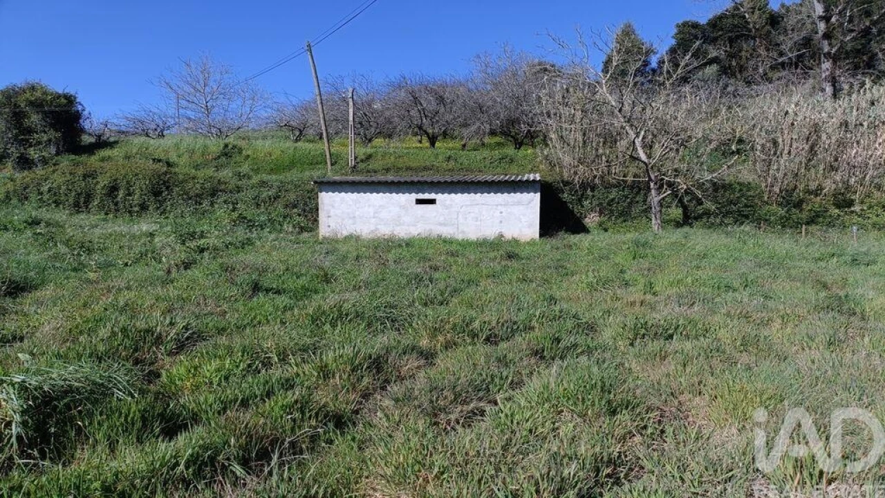 Terreno para Venda em Cela Foto 15