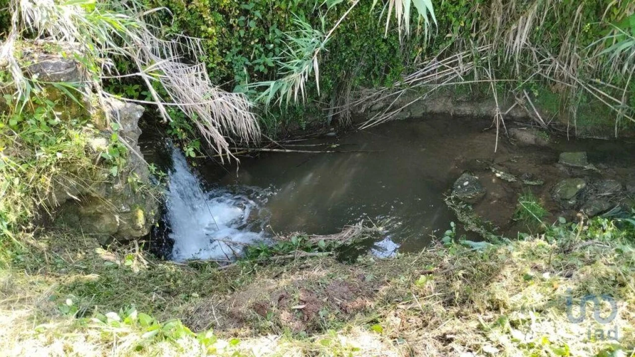 Terreno para Venda em Cela Foto 7