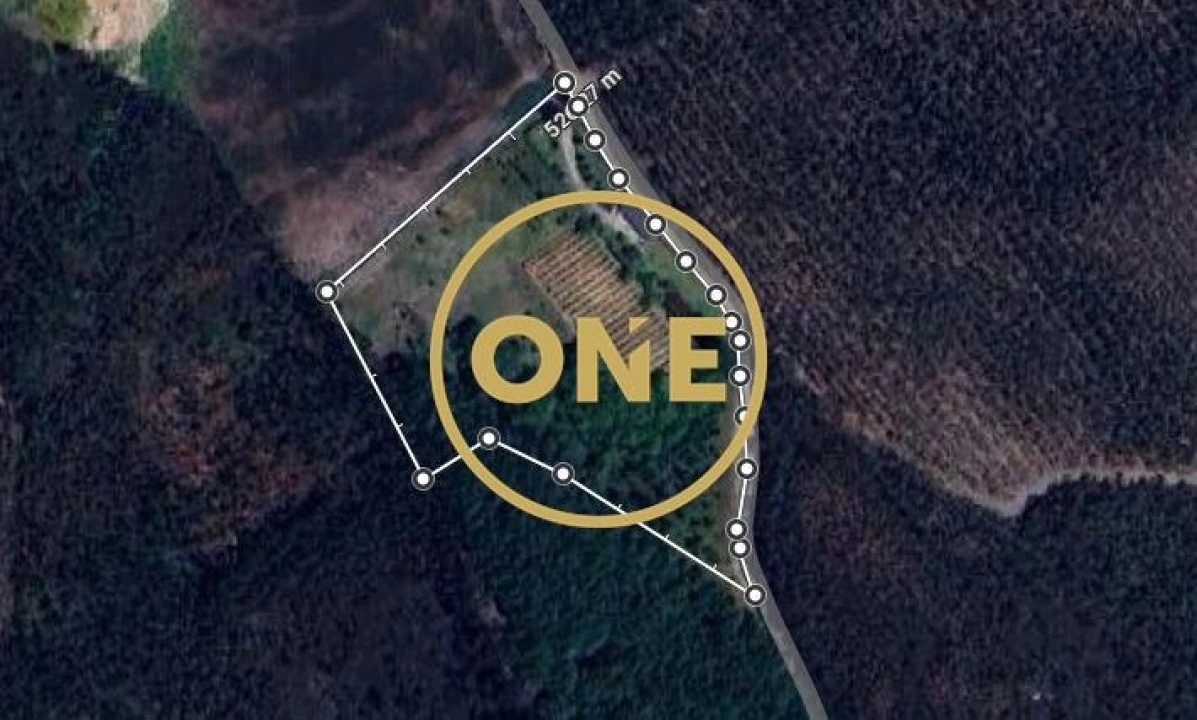 Terreno para Venda em Ribeirão Foto 42