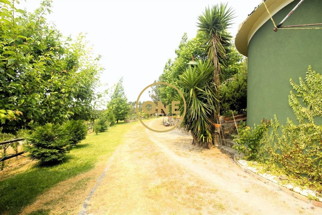 Terreno para Venda em Ribeirão Foto 22