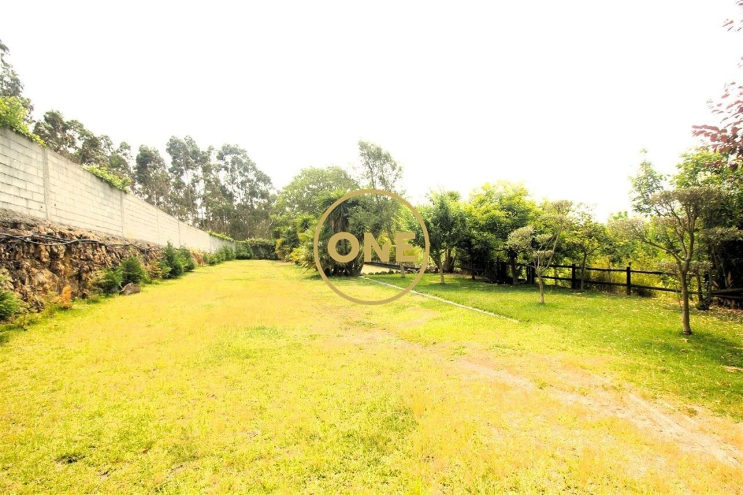 Terreno para Venda em Ribeirão Foto 25