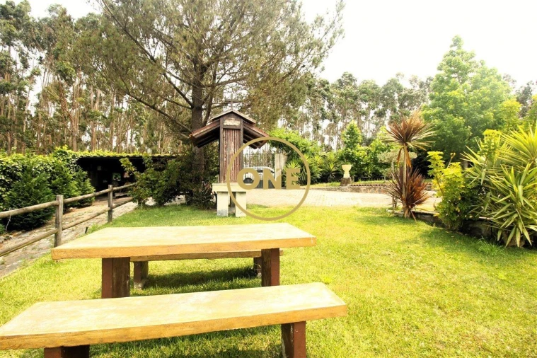 Terreno para Venda em Ribeirão Foto 19