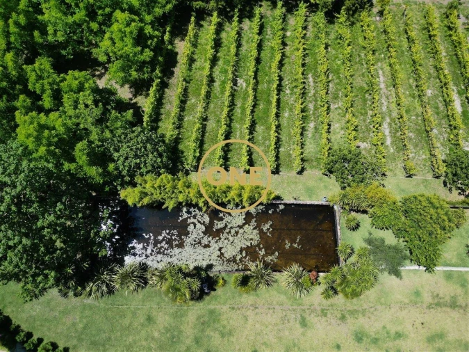 Terreno para Venda em Ribeirão Foto 5