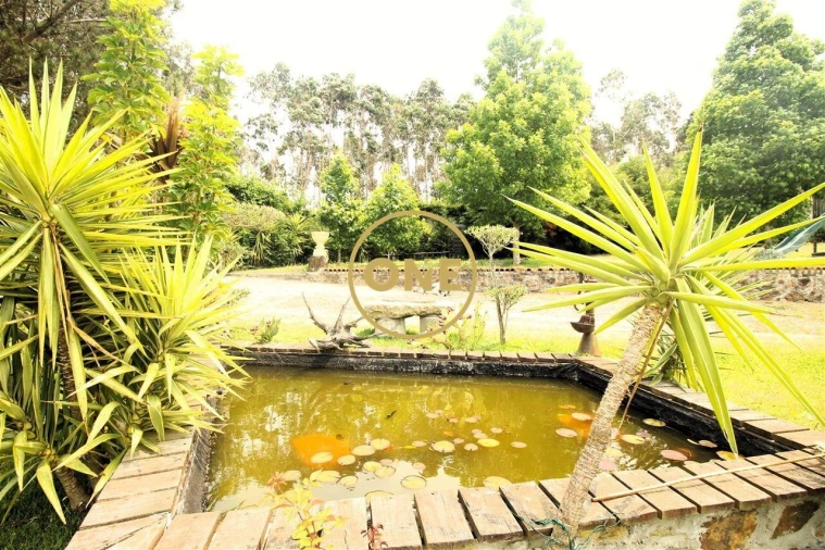 Terreno para Venda em Ribeirão Foto 20