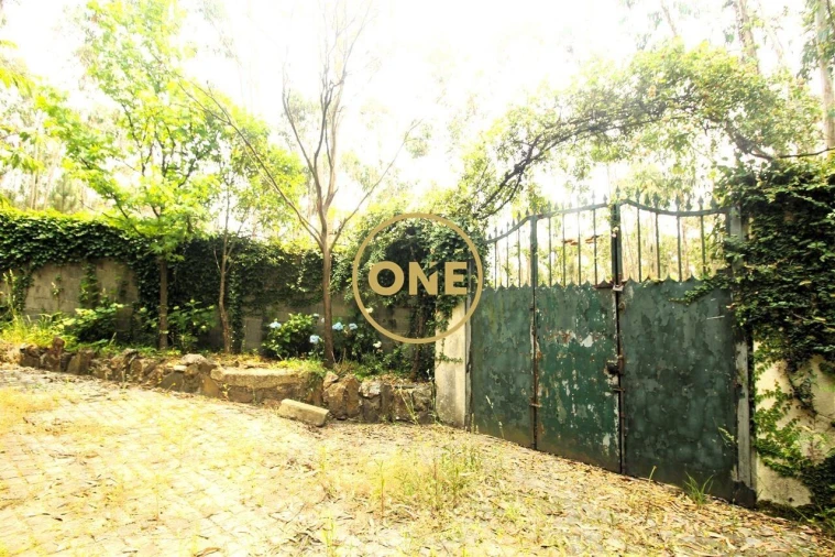 Terreno para Venda em Ribeirão Foto 40