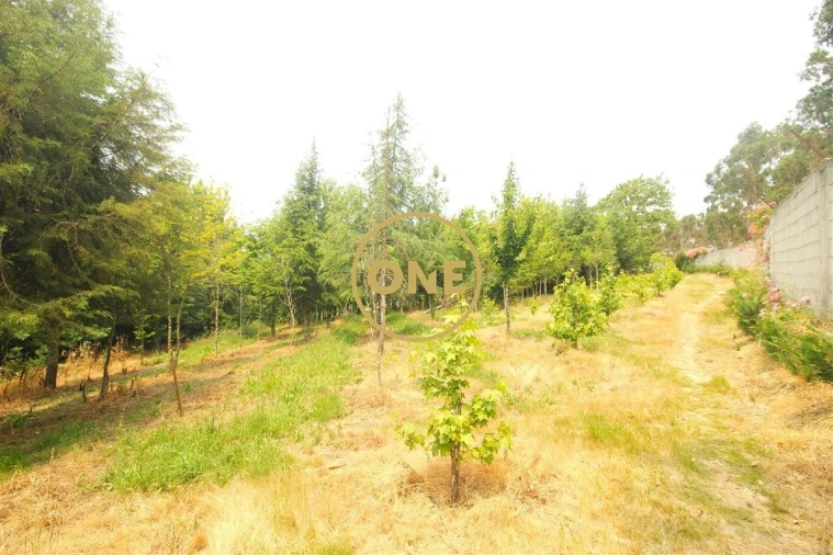 Terreno para Venda em Ribeirão Foto 35