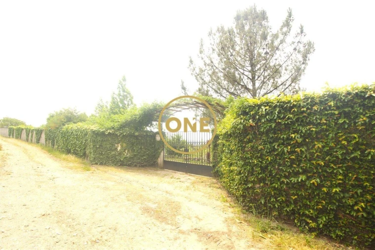 Terreno para Venda em Ribeirão Foto 41