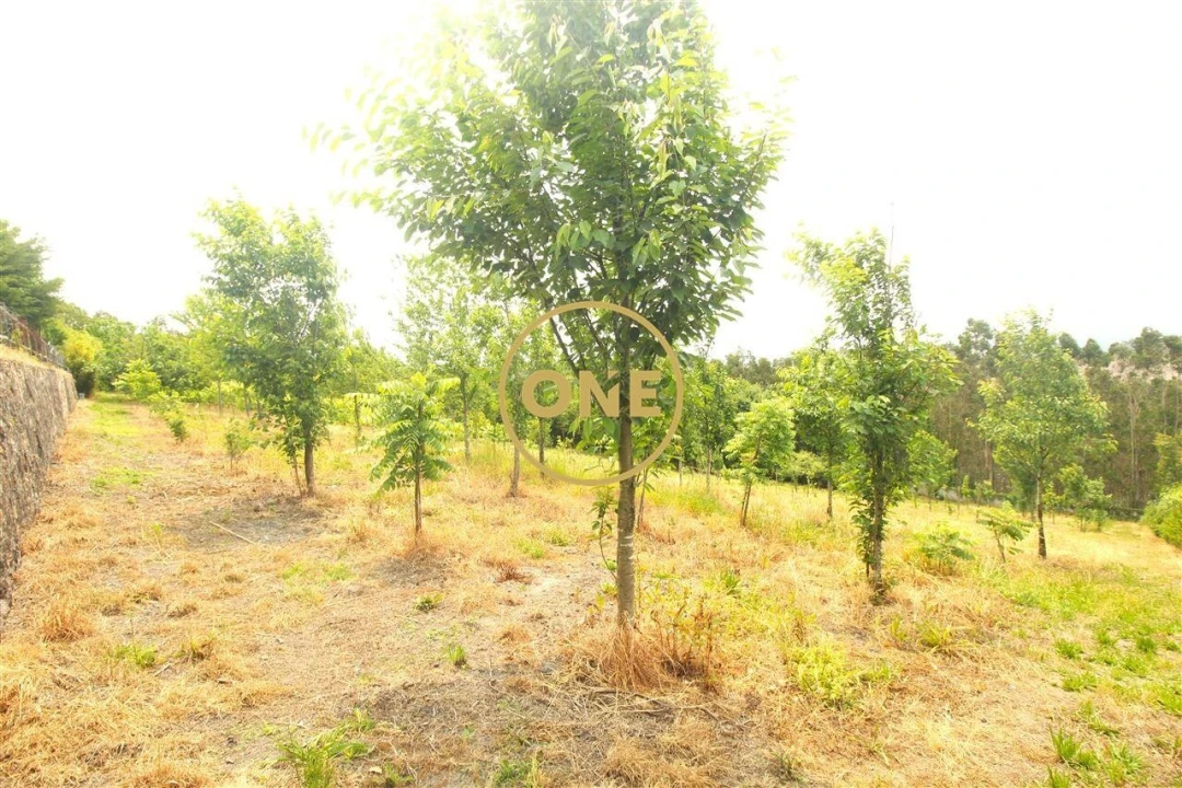 Terreno para Venda em Ribeirão Foto 29