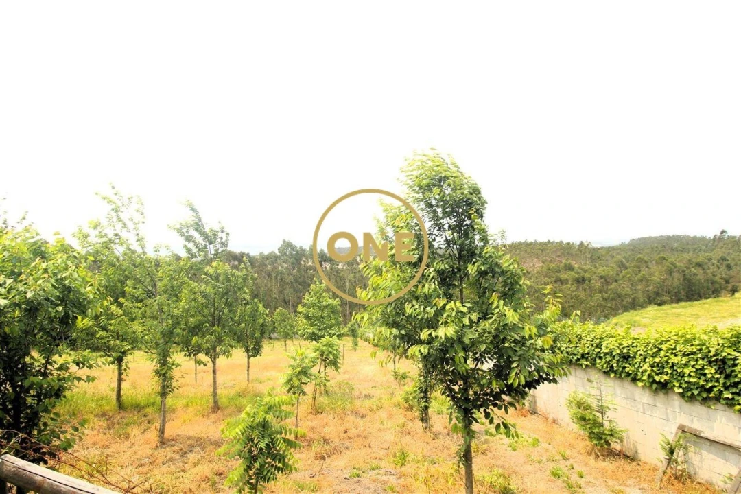 Terreno para Venda em Ribeirão Foto 18