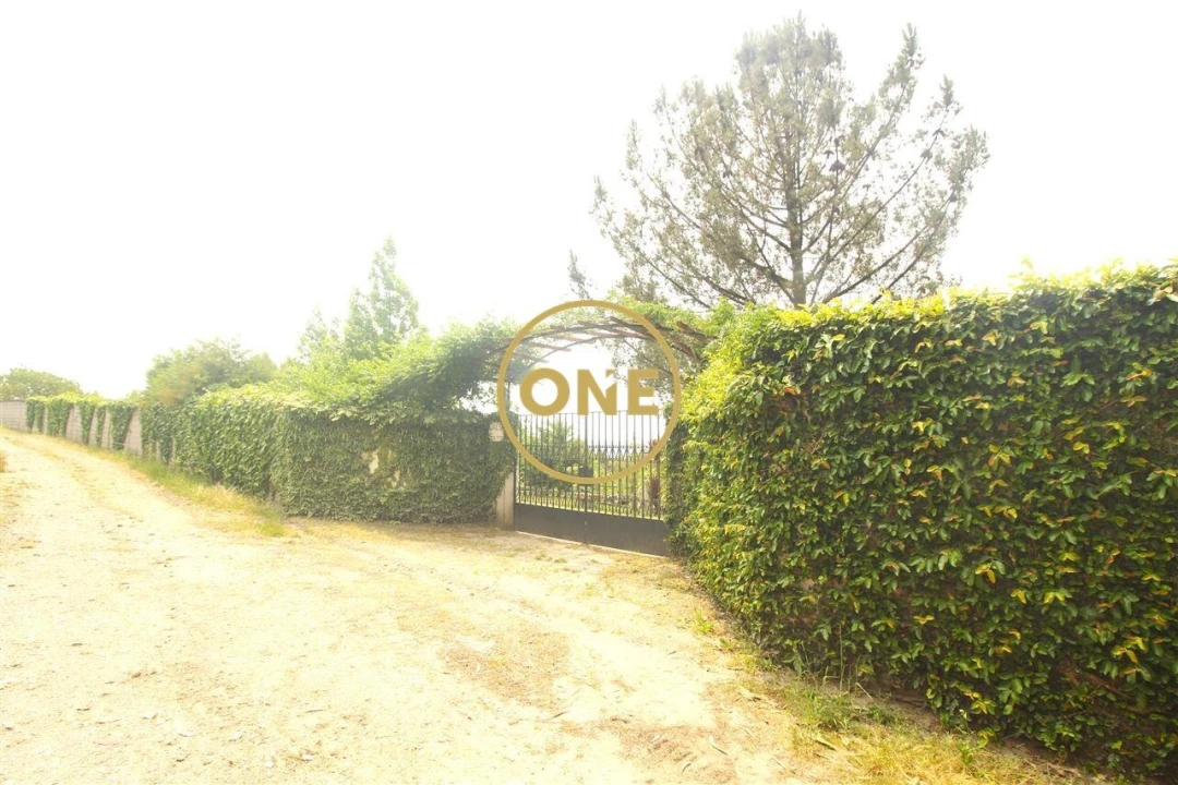 Terreno para Venda em Ribeirão Foto 41