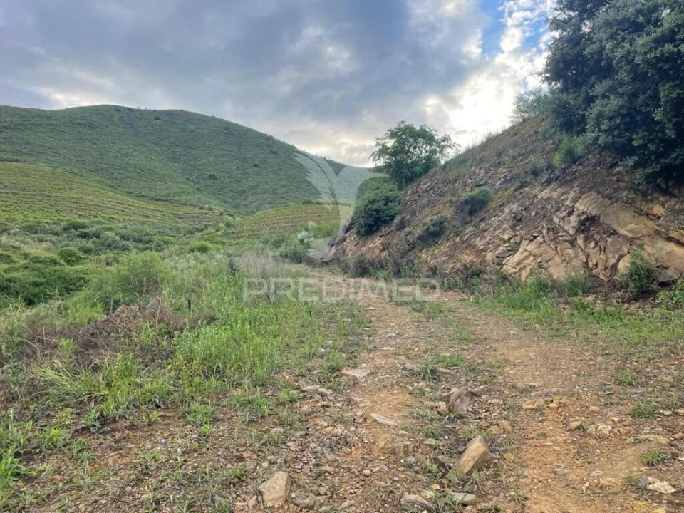 Terreno para Venda em Freixo de Numão Foto 5