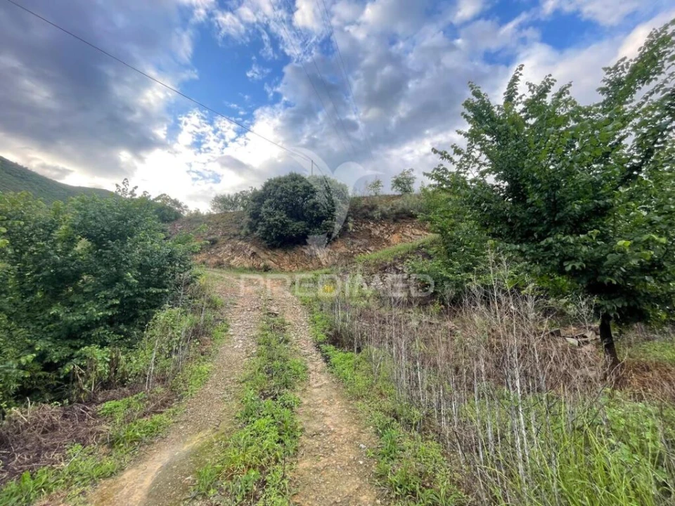 Terreno para Venda em Freixo de Numão Foto 7