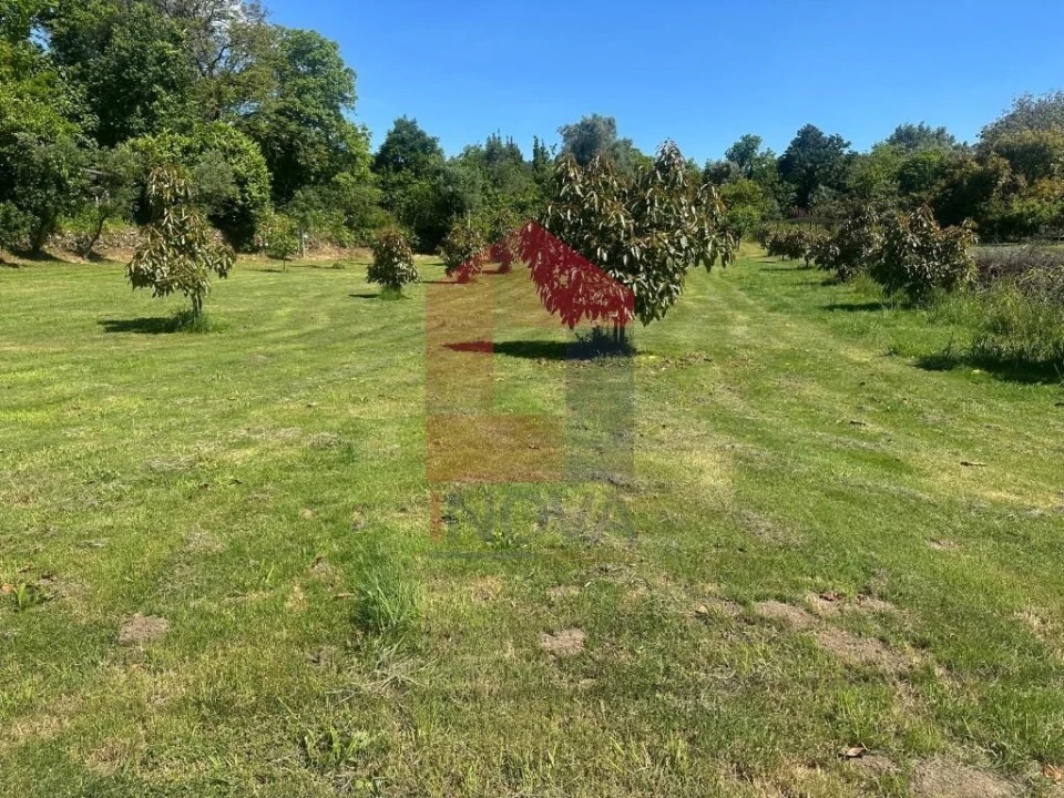 Terreno para Venda em Oriz (Santa Marinha) e Oriz (São Miguel) Foto 11