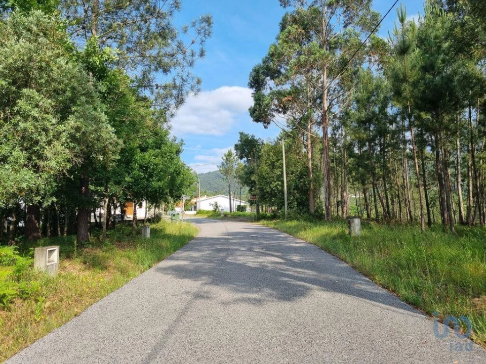 Terreno para Venda em Lousã e Vilarinho Foto 9