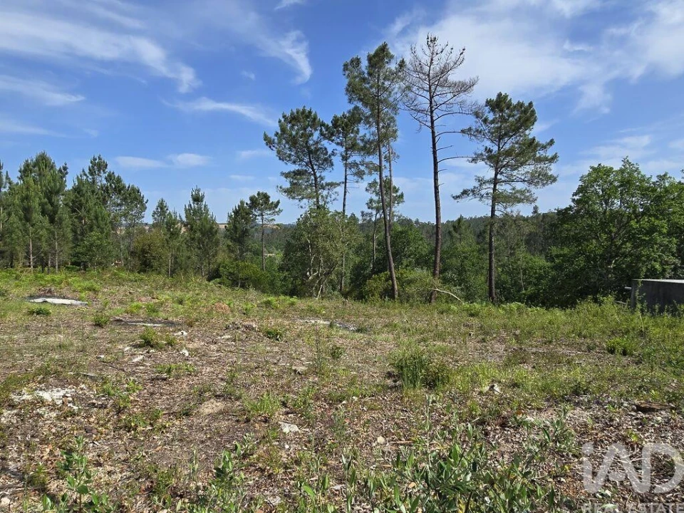 Terreno para Venda em Lousã e Vilarinho Foto 18
