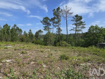 Terreno para Venda em Lousã e Vilarinho