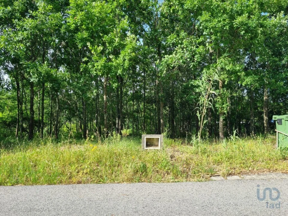 Terreno para Venda em Lousã e Vilarinho Foto 13