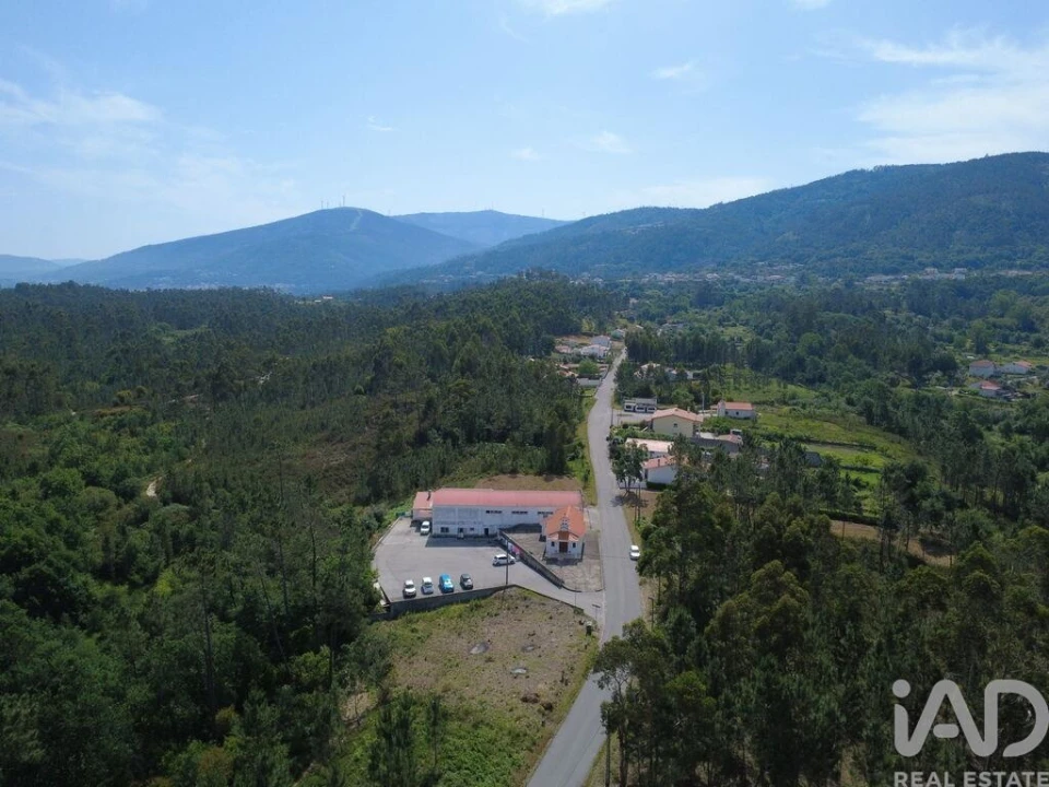 Terreno para Venda em Lousã e Vilarinho Foto 10