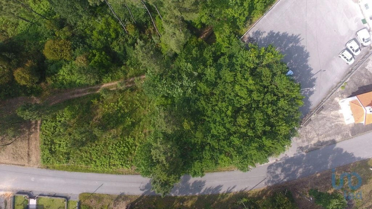 Terreno para Venda em Lousã e Vilarinho Foto 2