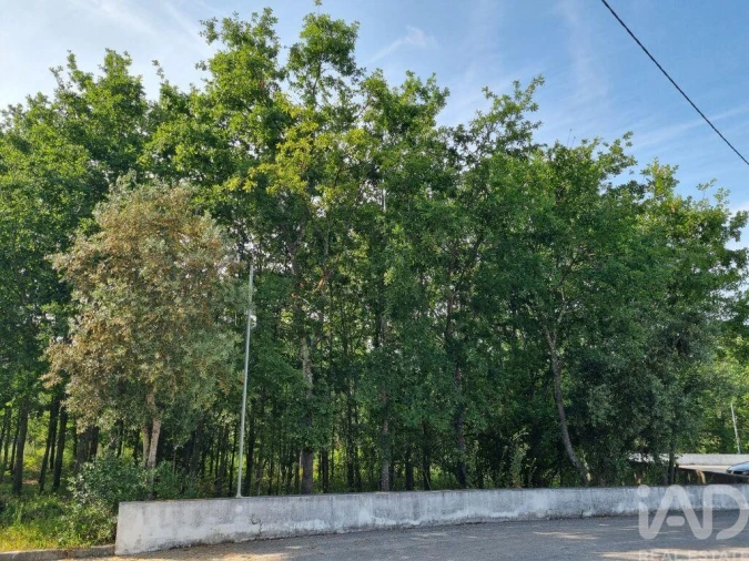 Terreno para Venda em Lousã e Vilarinho Foto 15