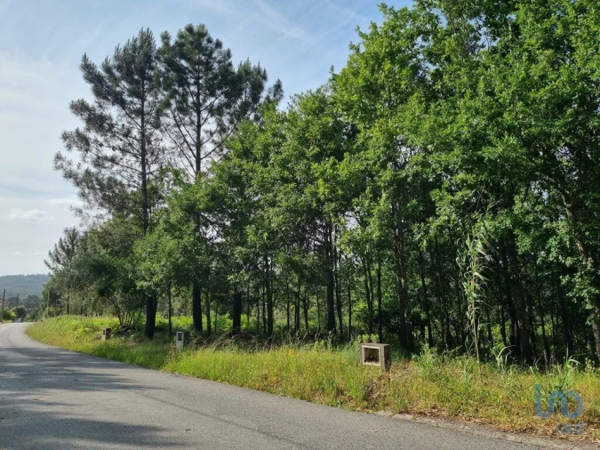Terreno para Venda em Lousã e Vilarinho Foto 14