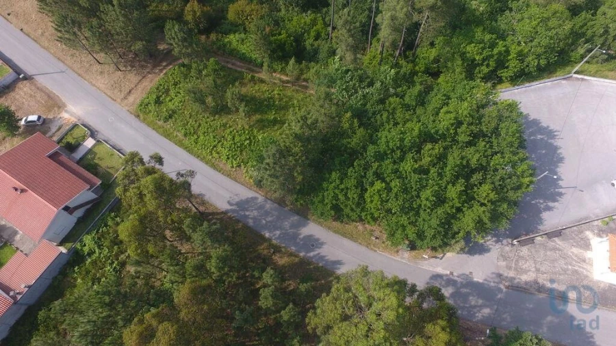 Terreno para Venda em Lousã e Vilarinho Foto 4