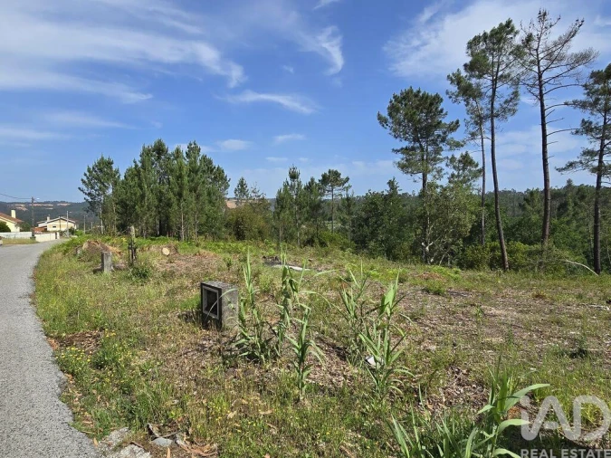 Terreno para Venda em Lousã e Vilarinho Foto 12