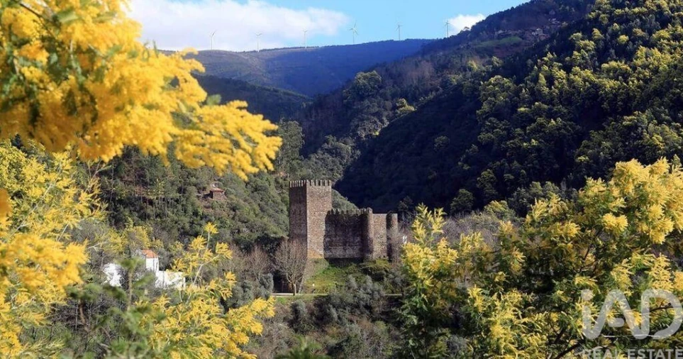 Terreno para Venda em Lousã e Vilarinho Foto 18