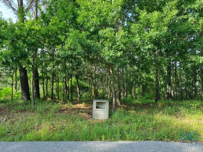 Terreno para Venda em Lousã e Vilarinho Foto 12