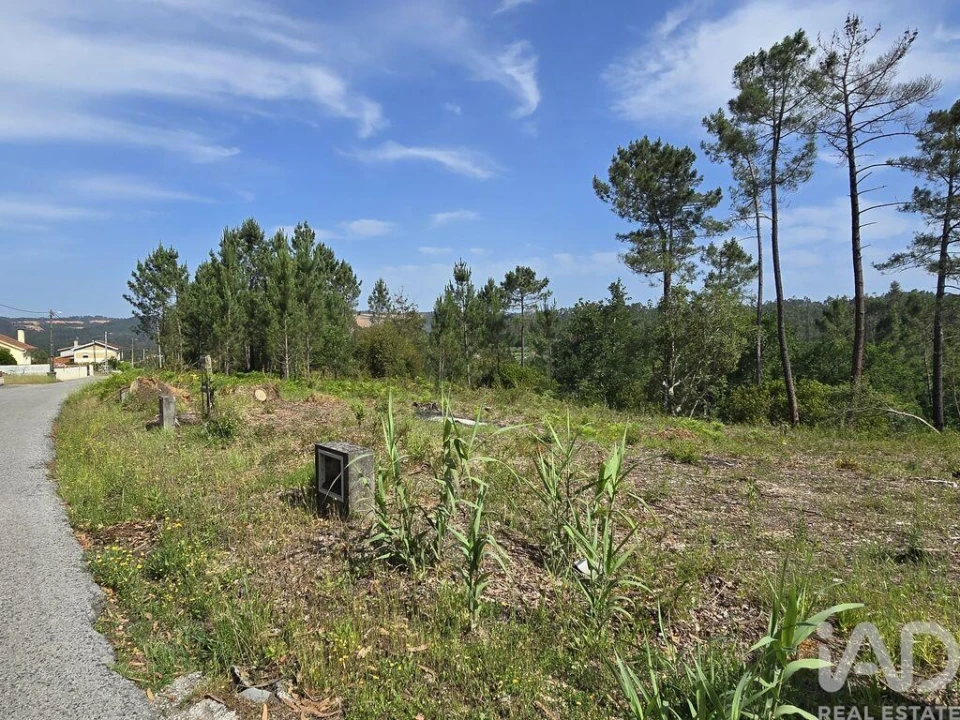 Terreno para Venda em Lousã e Vilarinho Foto 12