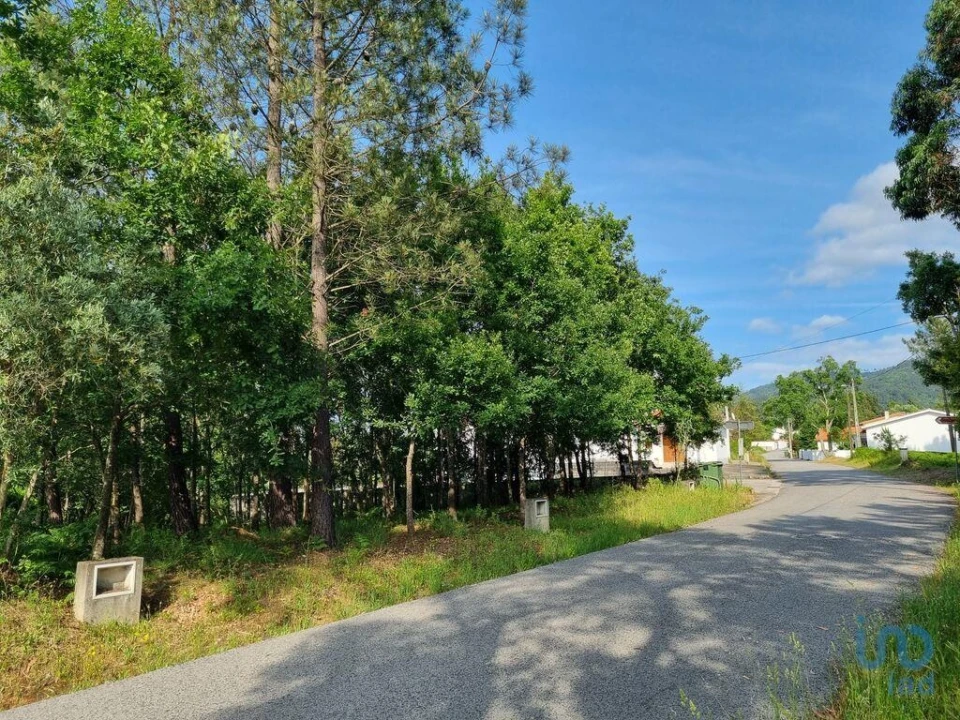 Terreno para Venda em Lousã e Vilarinho Foto 10