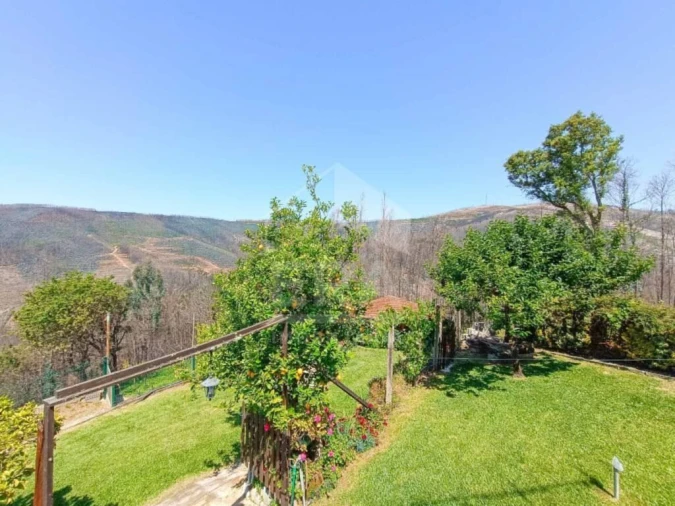 Quinta para Venda em Talhadas Foto 18