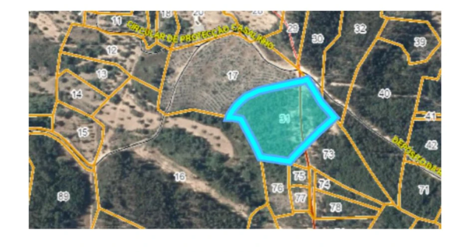 Terreno para Venda em Cardigos Foto 5