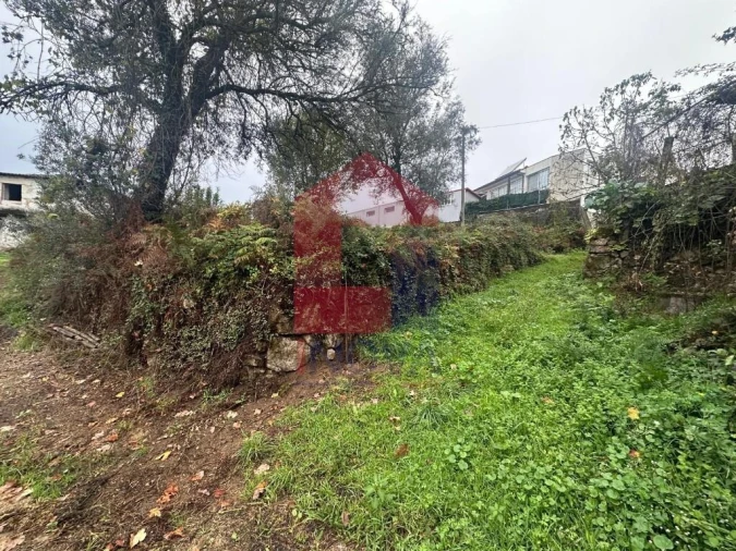 Terreno para Venda em Escariz (São Mamede) e Escariz (São Martinho) Foto 18
