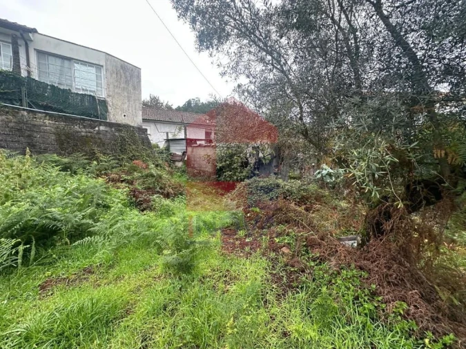 Terreno para Venda em Escariz (São Mamede) e Escariz (São Martinho) Foto 17