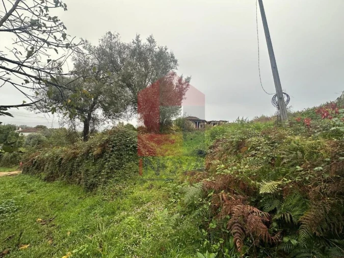 Terreno para Venda em Escariz (São Mamede) e Escariz (São Martinho) Foto 14