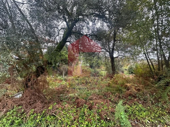Terreno para Venda em Escariz (São Mamede) e Escariz (São Martinho) Foto 16