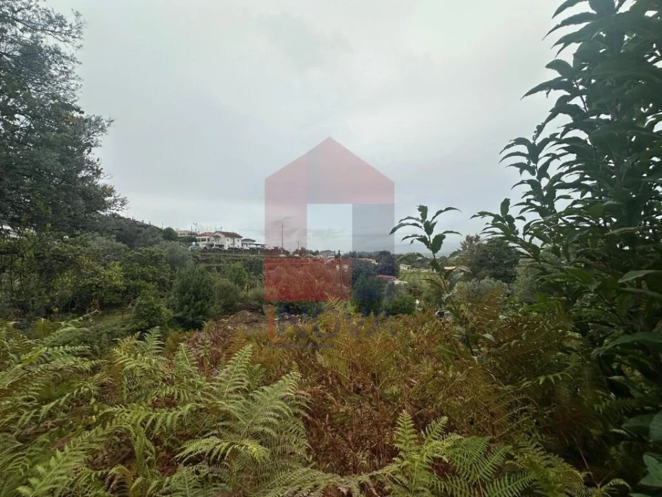 Terreno para Venda em Escariz (São Mamede) e Escariz (São Martinho) Foto 15