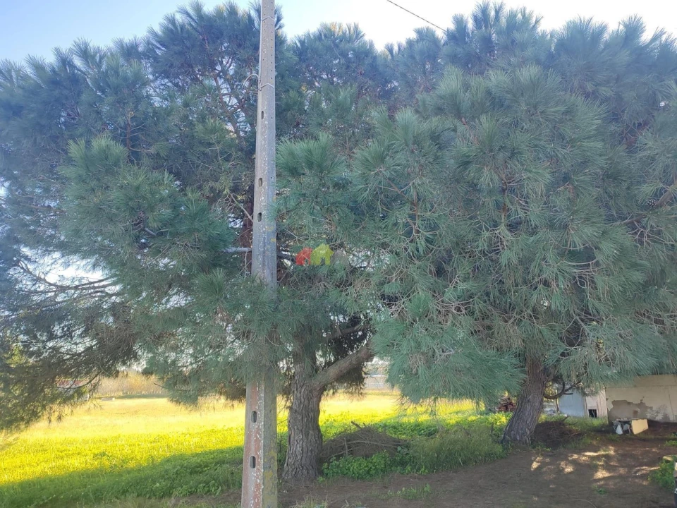 Terreno para Venda em Gaio-Rosário e Sarilhos Pequenos Foto 24