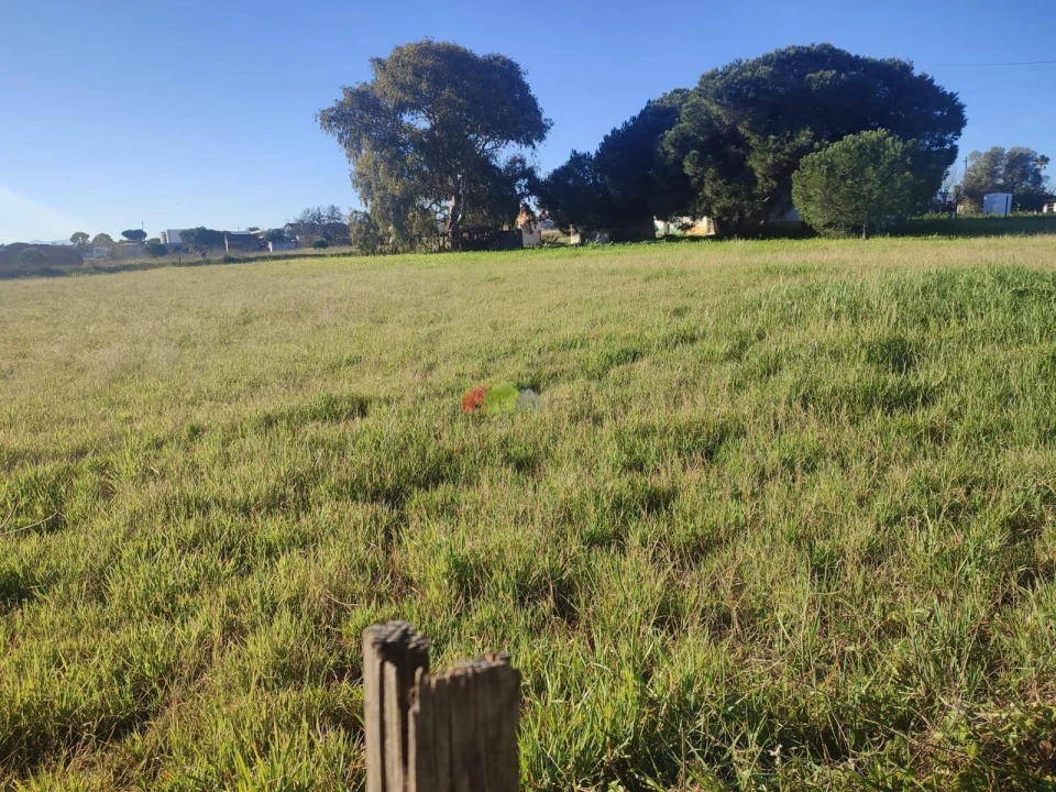 Terreno para Venda em Gaio-Rosário e Sarilhos Pequenos Foto 16