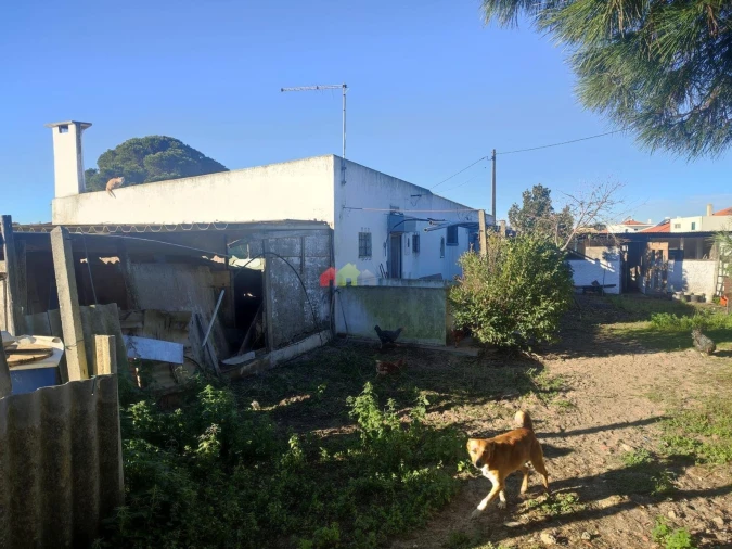 Terreno para Venda em Gaio-Rosário e Sarilhos Pequenos Foto 11