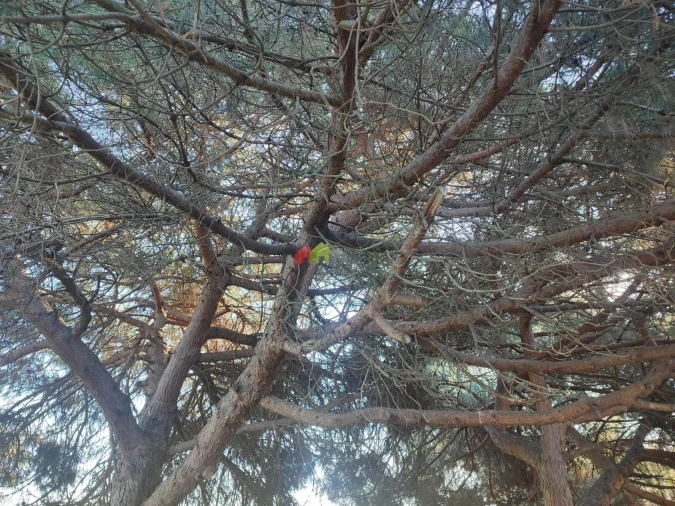 Terreno para Venda em Gaio-Rosário e Sarilhos Pequenos Foto 23