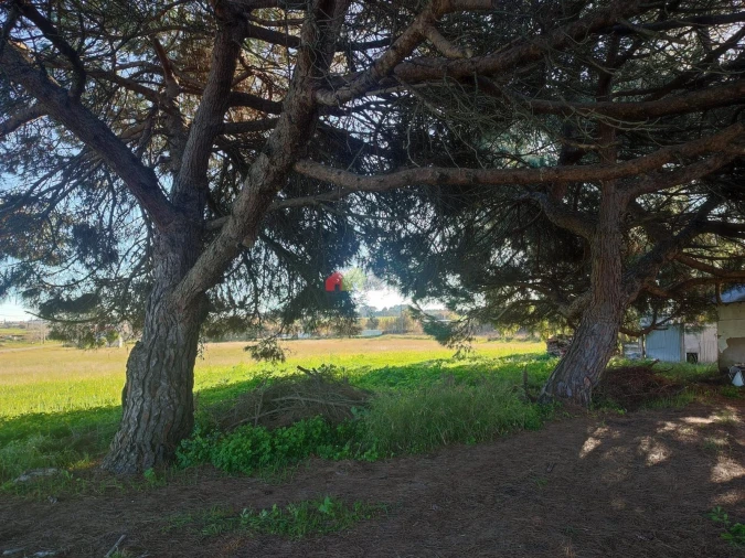 Terreno para Venda em Gaio-Rosário e Sarilhos Pequenos Foto 3