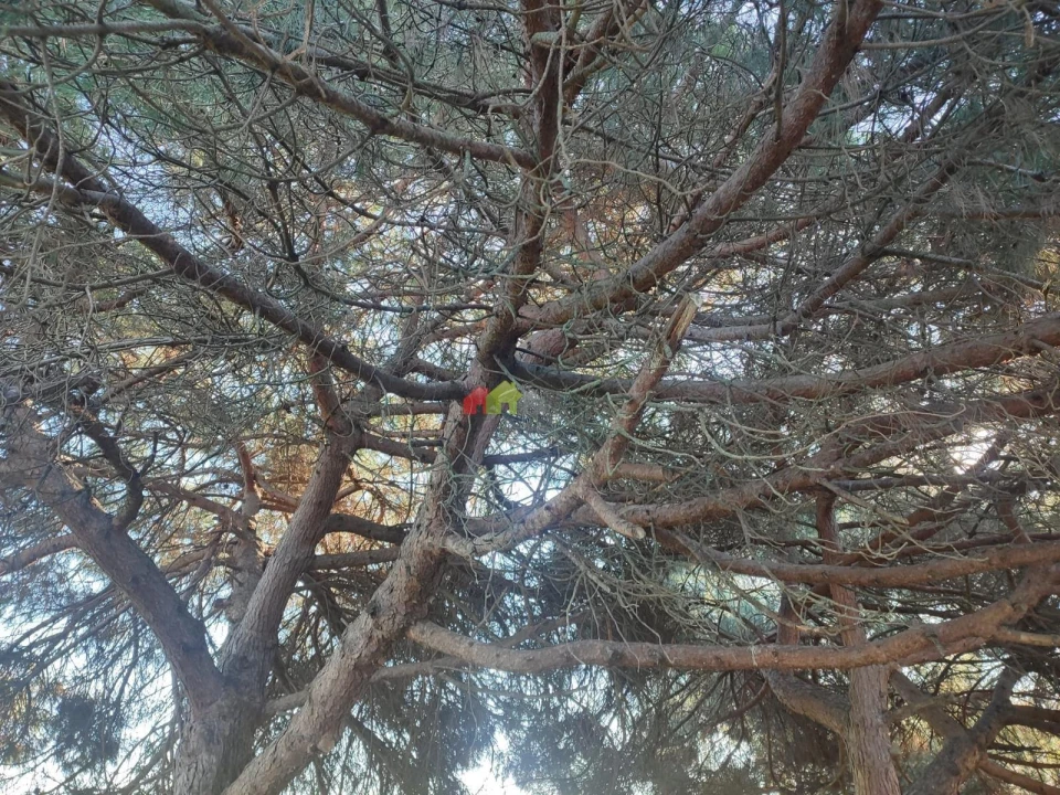 Terreno para Venda em Gaio-Rosário e Sarilhos Pequenos Foto 23