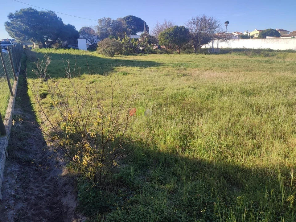 Terreno para Venda em Gaio-Rosário e Sarilhos Pequenos Foto 19