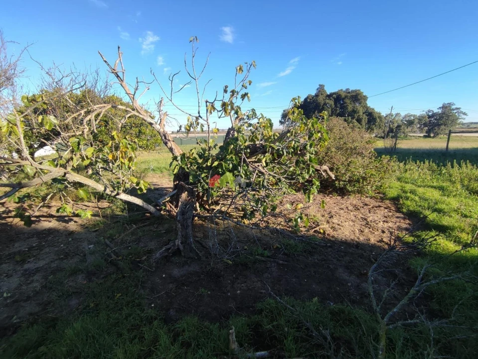 Terreno para Venda em Gaio-Rosário e Sarilhos Pequenos Foto 8